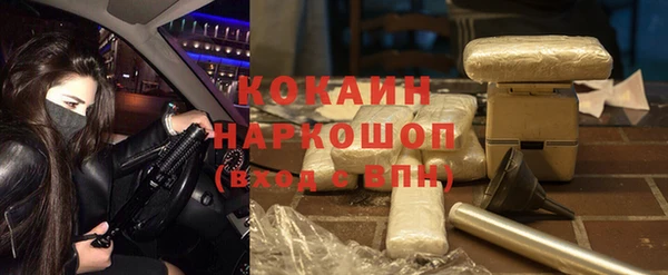 хмурый Алзамай