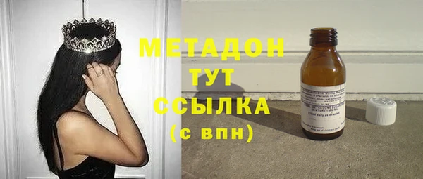 прущие грибы Абаза