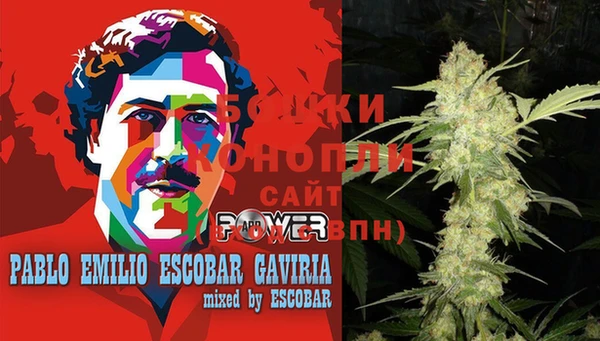 кокаин колумбия Болотное