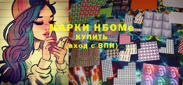 мет Алексин