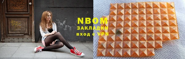 хмурый Алзамай