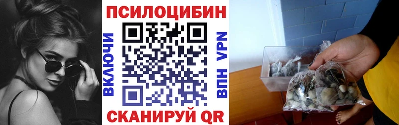 Галлюциногенные грибы Magic Shrooms закладки Венёв